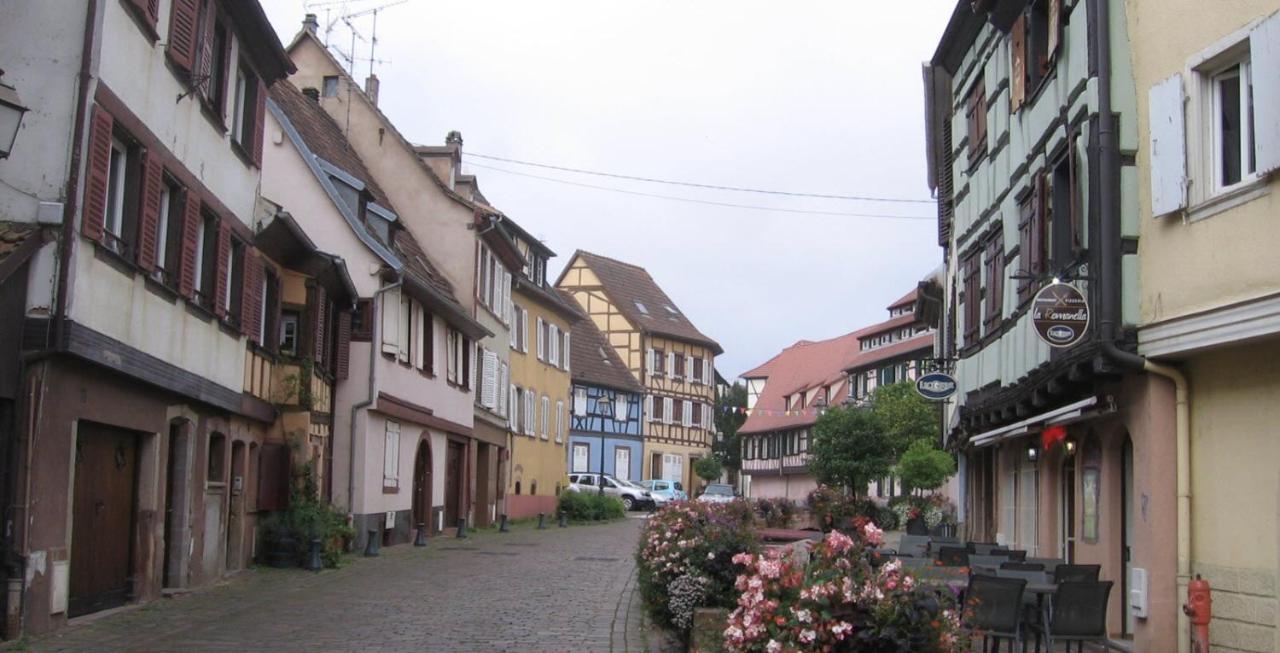 Apartament Neuf Et Cosy A Barr, Route Des Vins Zewnętrze zdjęcie